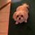 Vicki Barnes's profile image