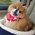 Penny Hall's profile image