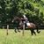 Laura E. Sowers's profile image