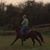 Forrest Washburn's profile image