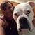Krysta Lane's profile image