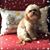 Dennise B Lloyd's profile image