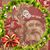 Gary C Gardner's profile image