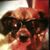 Charles Conwell's profile image