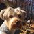 Jill Lynch's profile image