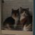 John Klucker's profile image