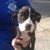 Nancy Kessinger-goss's profile image