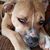 Dori Robinson's profile image