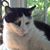 Phyllis DiChiara's profile image