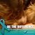 Cheryl Trudeau's profile image