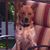 Janis Battista-Orzan's profile image
