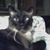 Robert Campbell's profile image
