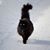 Chicles Rivera's profile image