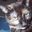 CATLADY's profile image