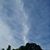Michele Pullella Bline's profile image