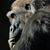 Wayne Boutin's profile image