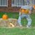 Celane Hubbard-Holloman's profile image