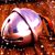 Kelly Mowad Hughes's profile image