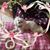 Shelly Appel's profile image