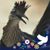 Olivia de Haulleville's profile image
