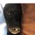 Billy Bryant's profile image