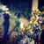 Beatriz Aguilar Villalobos's profile image