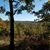 Nancy Kilburn's profile image