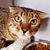 Rianda Copeland's profile image