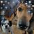 Diane M Dee's profile image