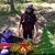Deb Wisniewski Searle's profile image
