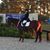 Nikki Schweizer Gooch's profile image