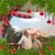 Leslie Leimbach's profile image