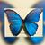 Jennifer Montgomery's profile image