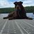 Chris Thurlow's profile image