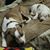 Hettie Hughes Weldon's profile image