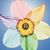 Ginnie Black's profile image