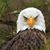 Raine Tyler's profile image