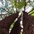 Jennifer Batza's profile image