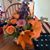Deb Fredline Marquardt's profile image