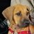 Helina Bilodeau's profile image