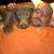 Darrin Rice's profile image