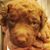 Steve Satterlee's profile image
