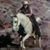 Annie Whitney's profile image