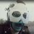 Donald J Felicella's profile image