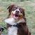 Bill Eckstein's profile image