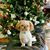 Misty E Shaffer's profile image
