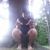 Justin Gustavsson's profile image