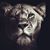 Christy Schmelz's profile image