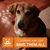 Tina Astleford Hackett's profile image