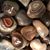 Marla Ongradi's profile image